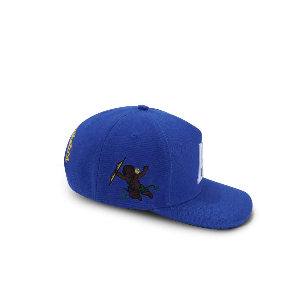 Royal blue Double A Snapback